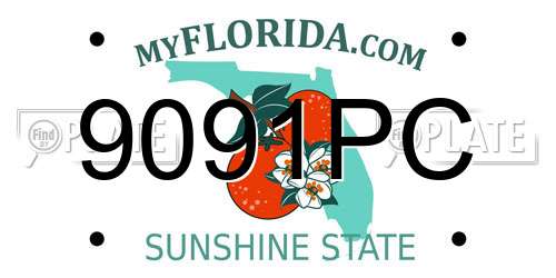 9091PC Florida License Plate