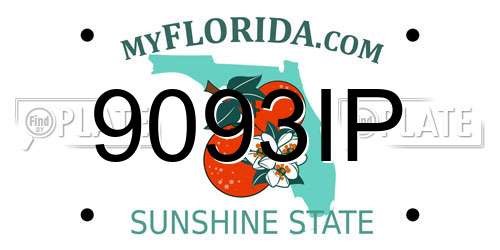 9093IP Florida License Plate
