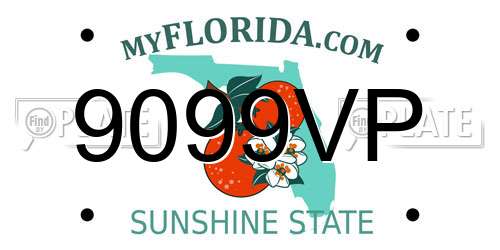 9099VP Florida License Plate
