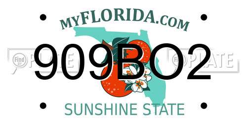 909BO2 Florida License Plate