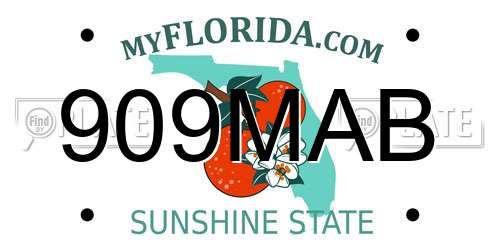 909MAB Florida License Plate