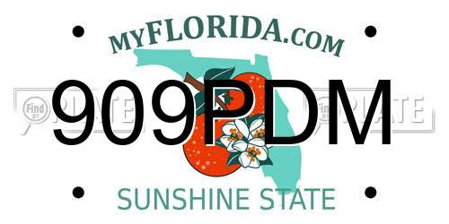 909PDM Florida License Plate