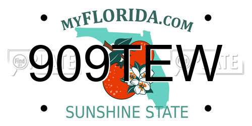 909TEW Florida License Plate