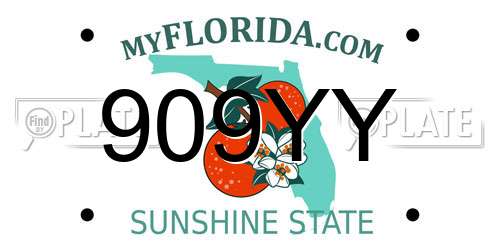 909YY Florida License Plate