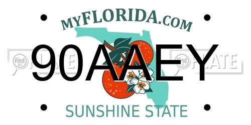90AAEY Florida License Plate