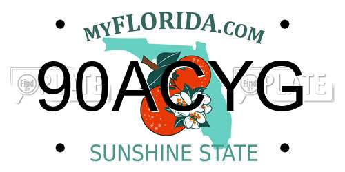 90ACYG Florida License Plate