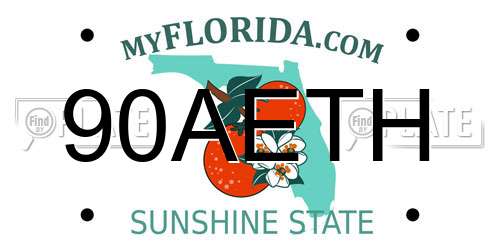 90AETH Florida License Plate