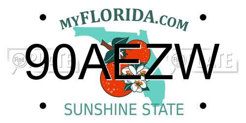 90AEZW Florida License Plate