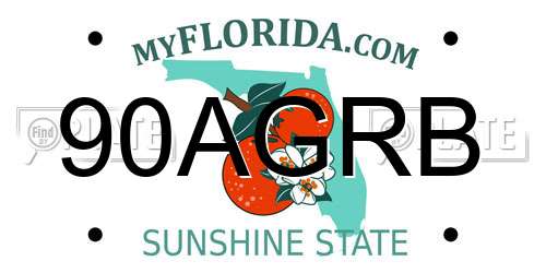 90AGRB Florida License Plate