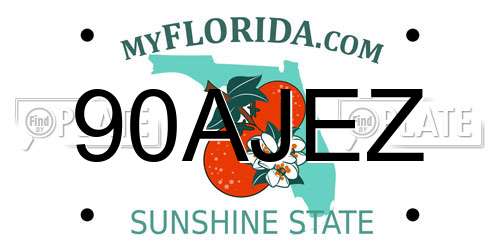 90AJEZ Florida License Plate