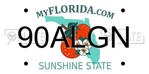 90ALGN Florida License Plate
