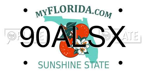 90ALSX Florida License Plate