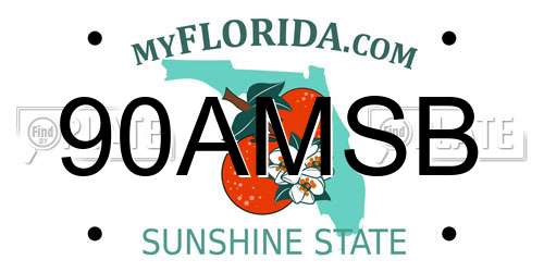 90AMSB Florida License Plate