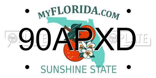 90APXD Florida License Plate