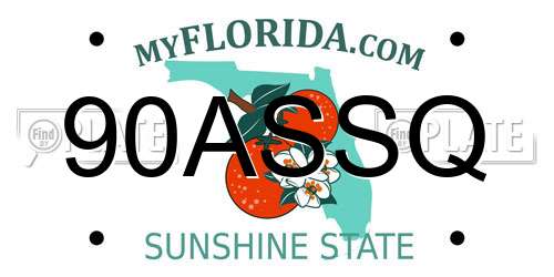 90ASSQ Florida License Plate