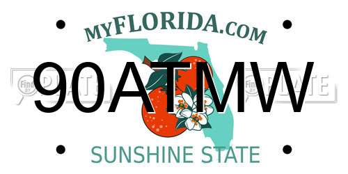 90ATMW Florida License Plate