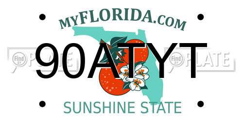 90ATYT Florida License Plate