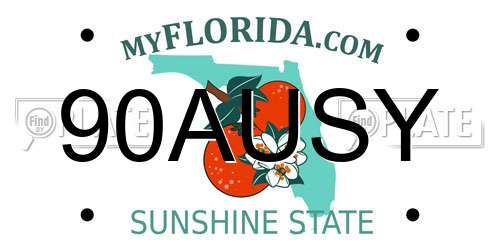 90AUSY Florida License Plate