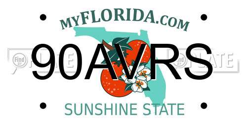 90AVRS Florida License Plate