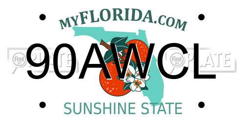 90AWCL Florida License Plate