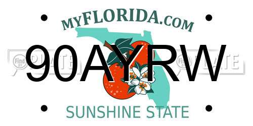 90AYRW Florida License Plate