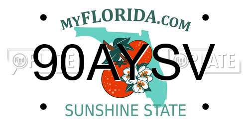 90AYSV Florida License Plate