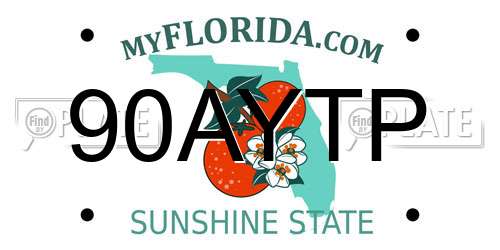 90AYTP Florida License Plate