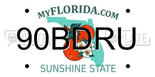 90BDRU Florida License Plate