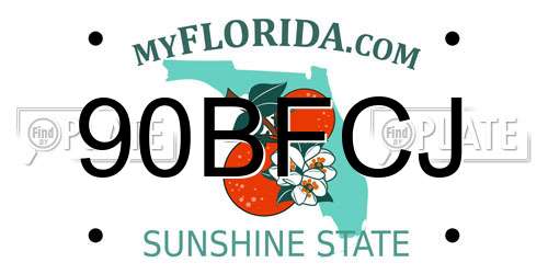 90BFCJ Florida License Plate