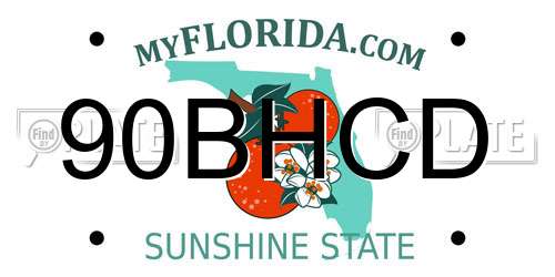 90BHCD Florida License Plate