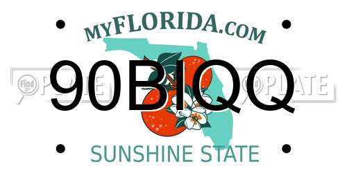 90BIQQ Florida License Plate