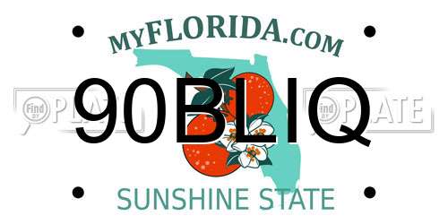 90BLIQ Florida License Plate