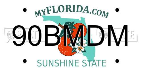 90BMDM Florida License Plate