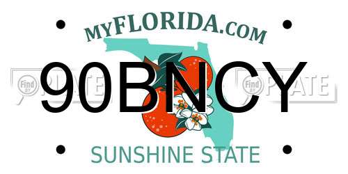 90BNCY Florida License Plate