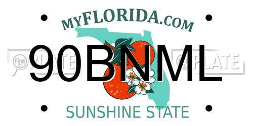 90BNML Florida License Plate