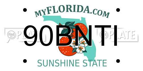 90BNTI Florida License Plate