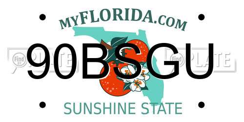 90BSGU Florida License Plate