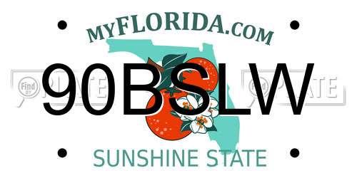90BSLW Florida License Plate