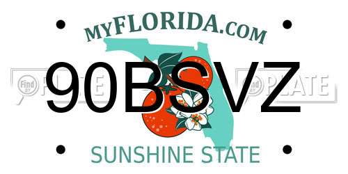 90BSVZ Florida License Plate