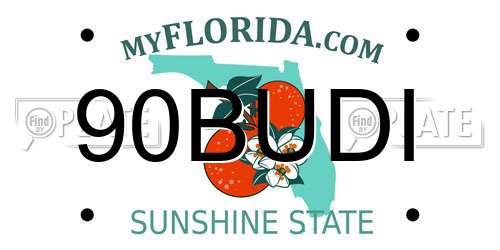 90BUDI Florida License Plate
