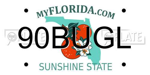 90BUGL Florida License Plate