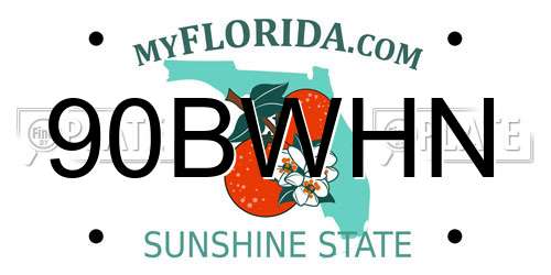 90BWHN Florida License Plate