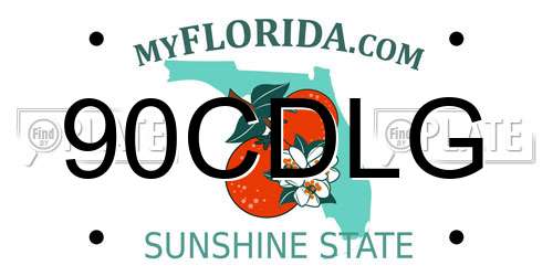 90CDLG Florida License Plate
