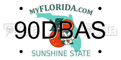 90DBAS Florida License Plate