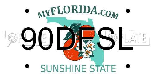 90DFSL Florida License Plate