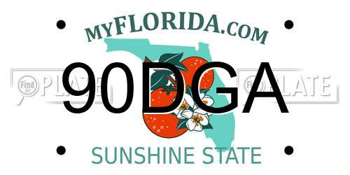 90DGA Florida License Plate
