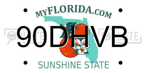90DHVB Florida License Plate