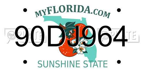 90DJ964 Florida License Plate