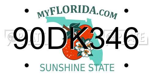 90DK346 Florida License Plate