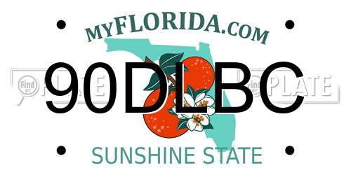 90DLBC Florida License Plate